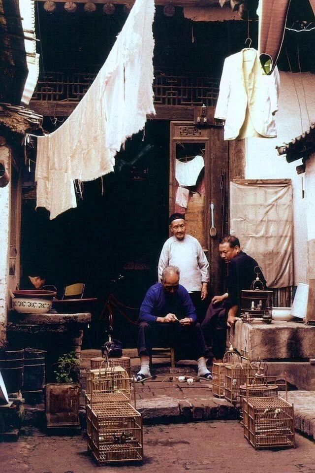 上海市中心现“水泥封门”奇观，老巷空城背后的城市更新博弈

门窗被水泥严密封死，