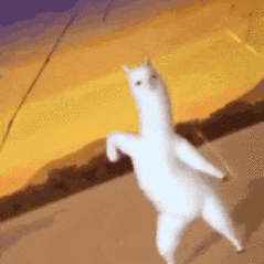 太有钱的我配不上，没钱的养不活我，太帅的不敢要，太丑的膈应的慌，太专一的我害怕，