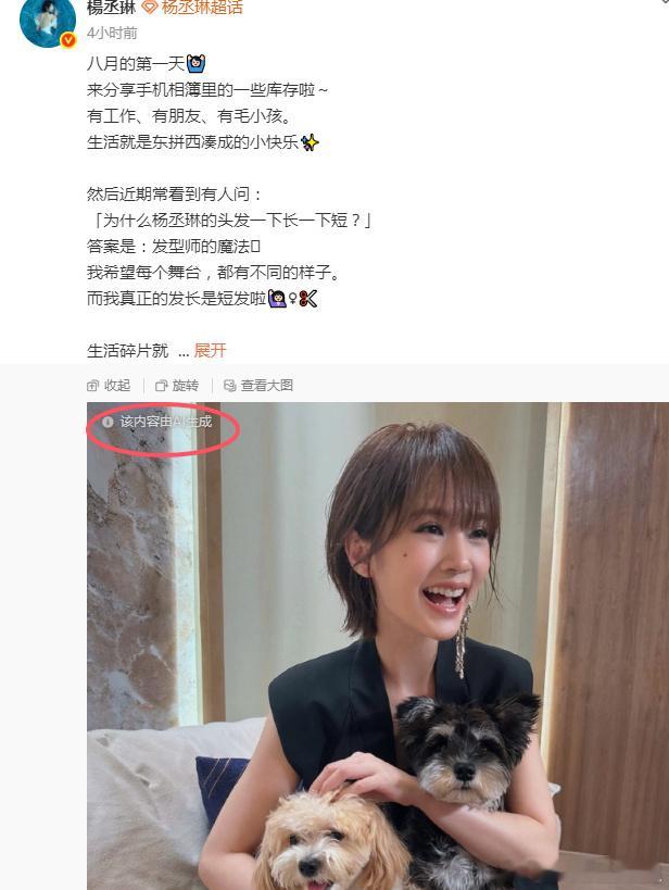 杨丞琳照片被判AI我不行了啊啊啊啊 