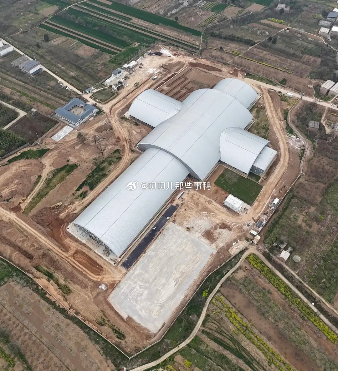 秦东陵竹简保存的真好啊，应该是本世纪最大考古发现了～