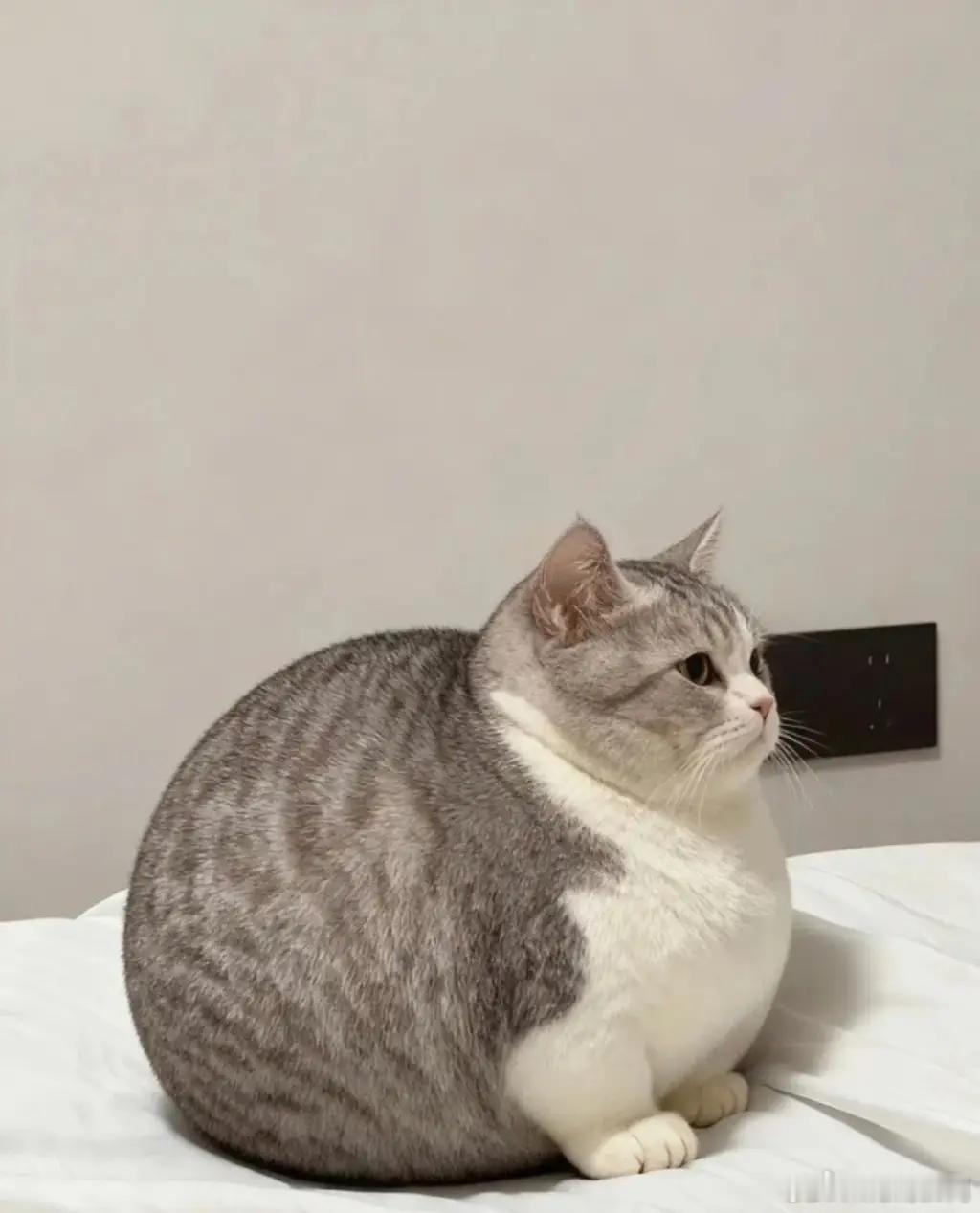 财政部明年将促进居民就业增收今年鼓励大家炒股，各位赚了吗？ 