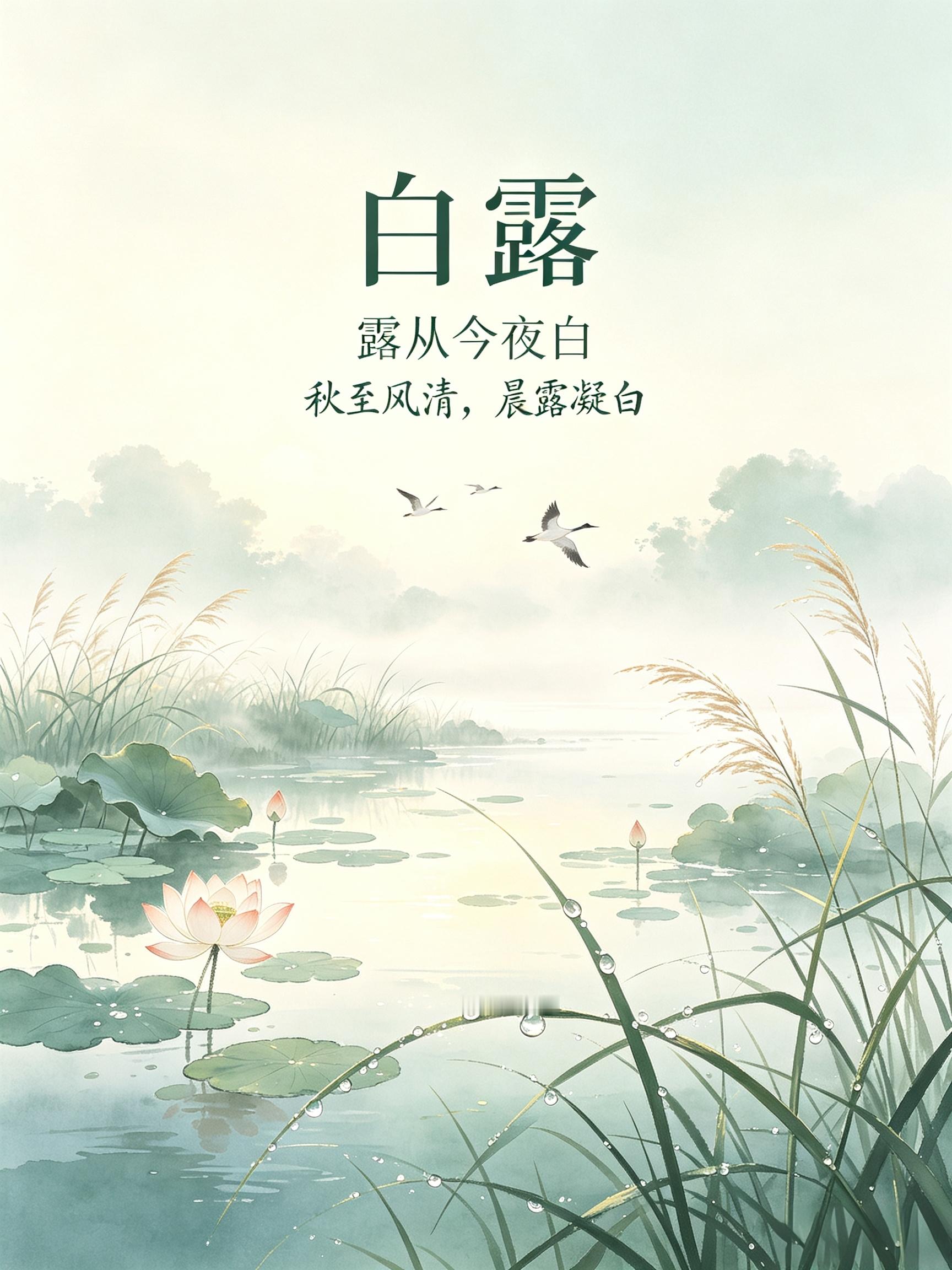 白露至，露凝而白，一夜凉一夜。大雁南飞、燕子归巢，百鸟储食待寒冬。昼夜拉大温差，