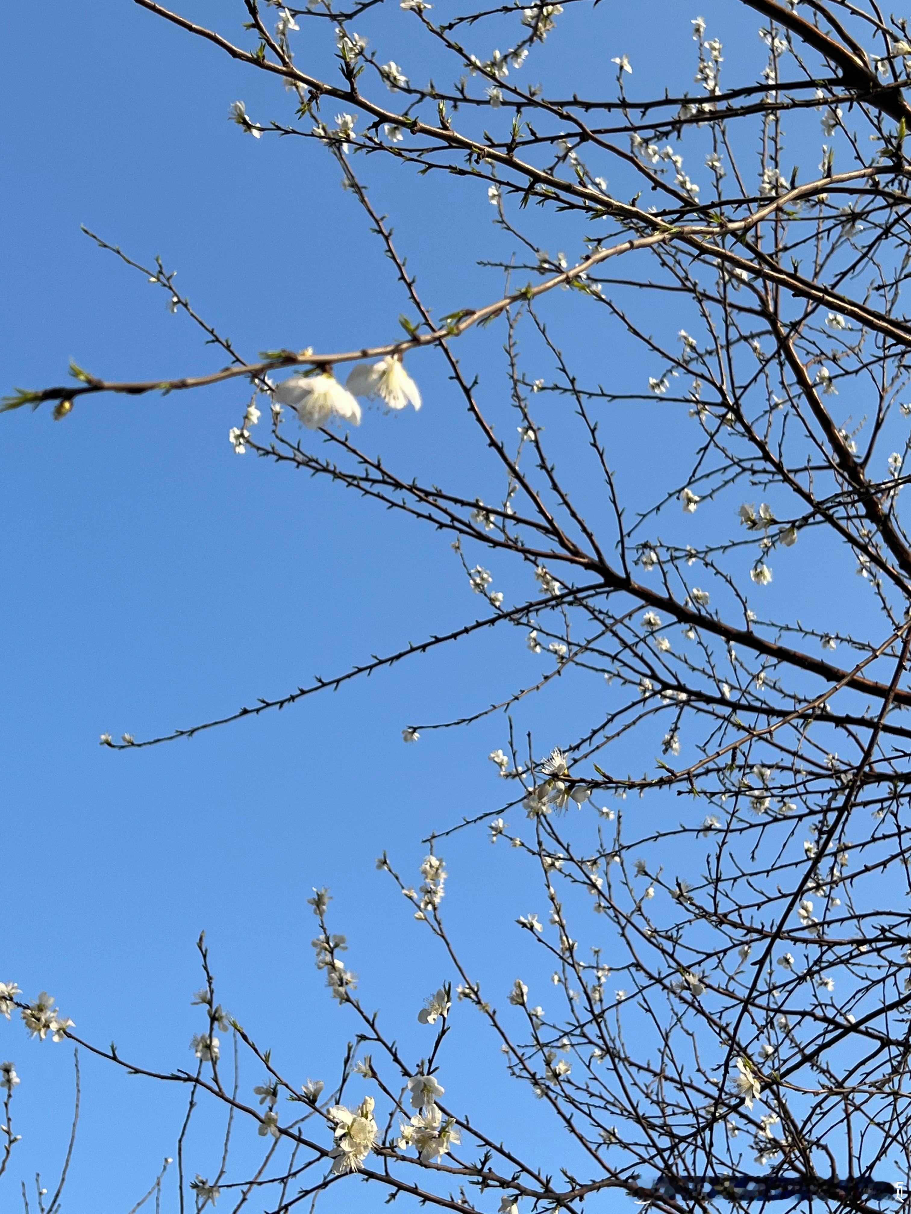 往事暗沉不可追，来日之路光明灿烂祝大家新年快乐，心想事成 