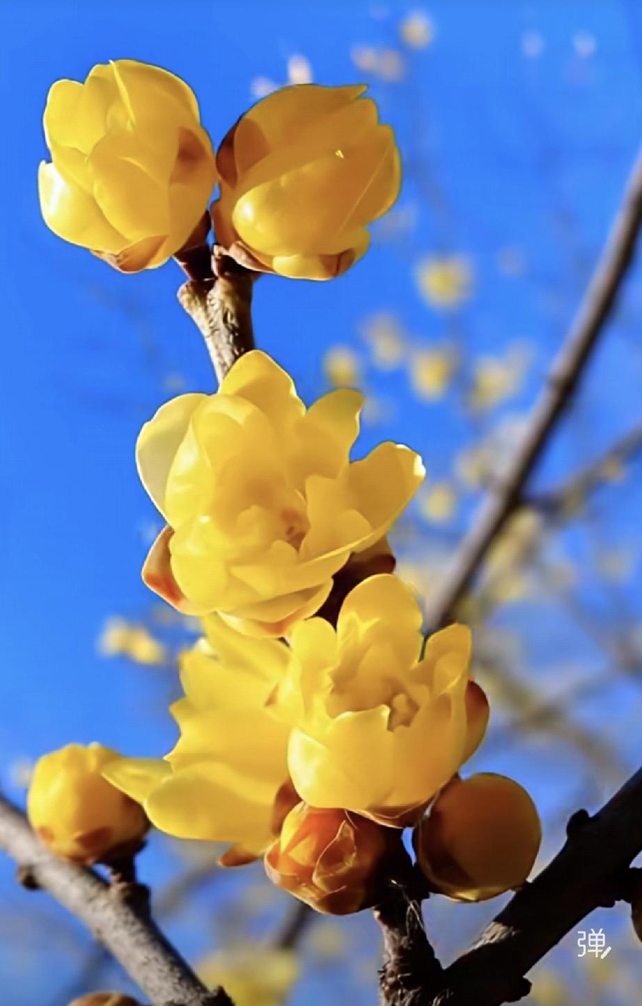 就像春天里随手撒下的一把种子，不知道能不能发芽，不知道会长成什么，但撒下去了，地