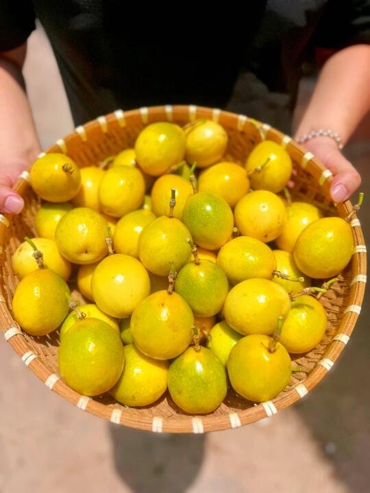 这是我家挑食娃都要主动续杯的神仙水果！