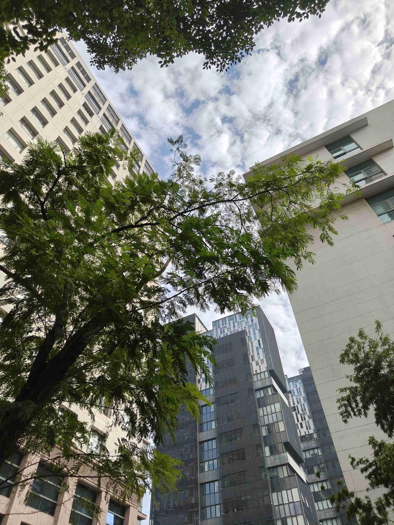 我的今日状态：😁轻松愉快
我这里的天气：🌤️多云