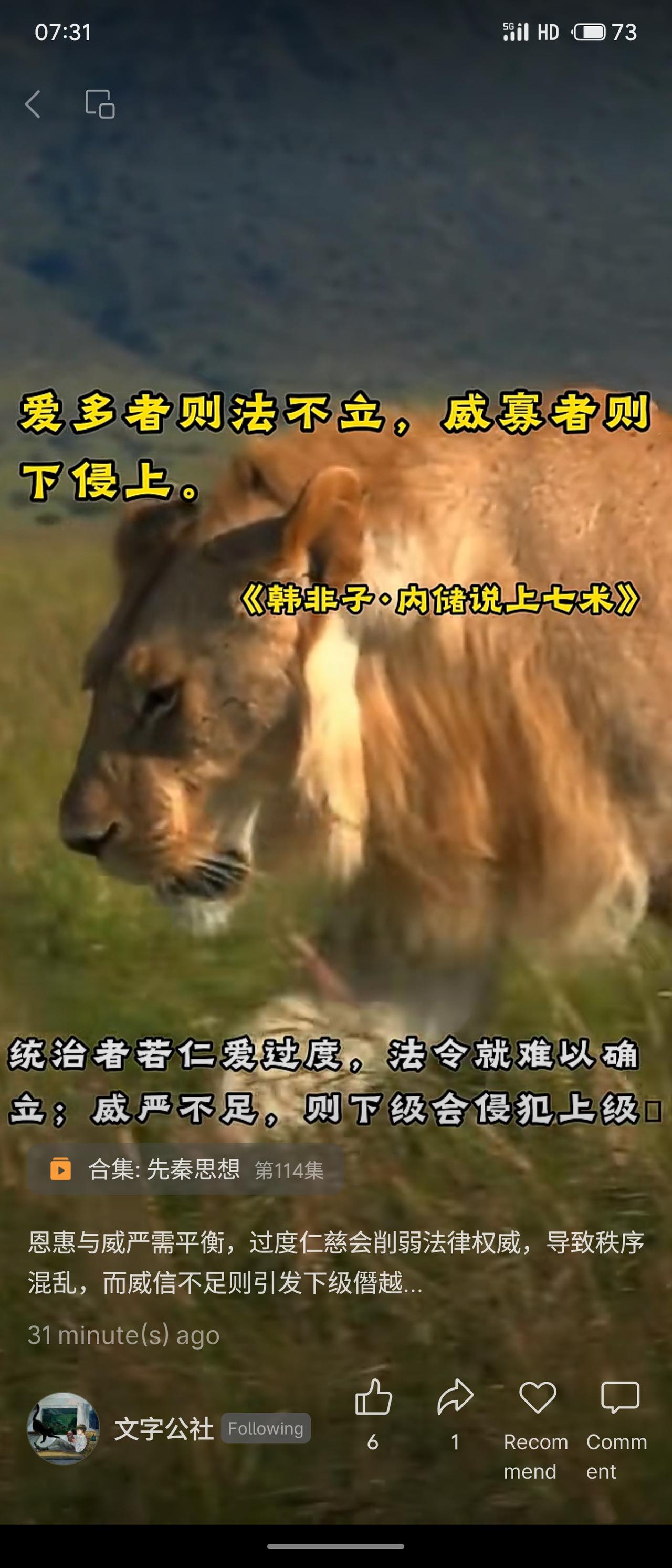 冬日生活打卡季