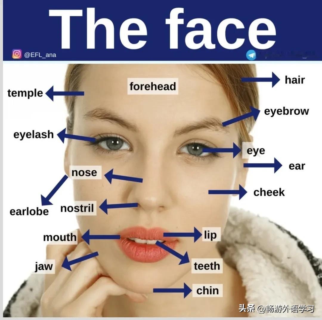 跟“face”有关的英语词汇