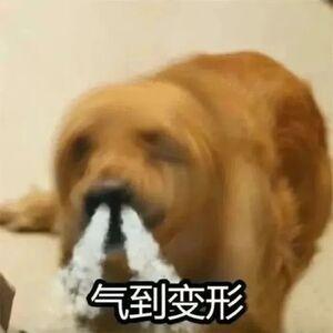 #建议取消强制自动续费# 希望真的可以实行，每次在购买各种会员时通常都会设定连续