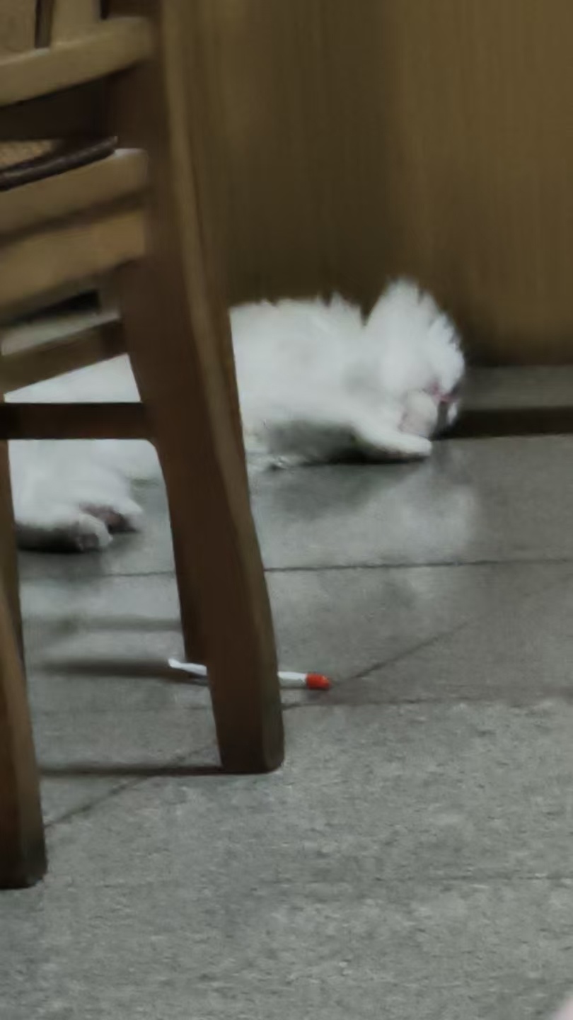 孩子给自己玩没电了
