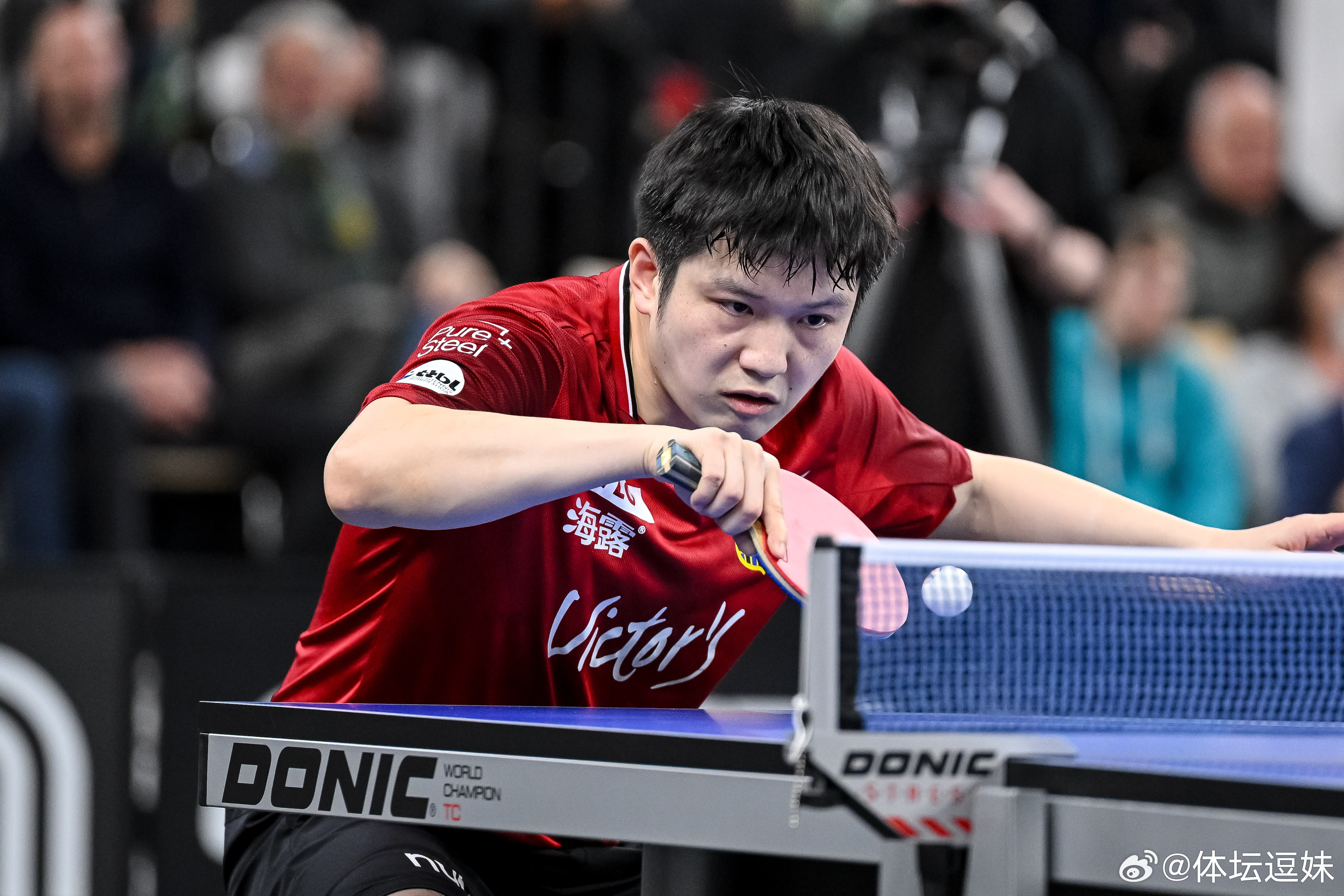 王励勤谈樊振东：非常希望他能够为国征战王励勤坦诚表示，作为中国乒协和他本人的角度