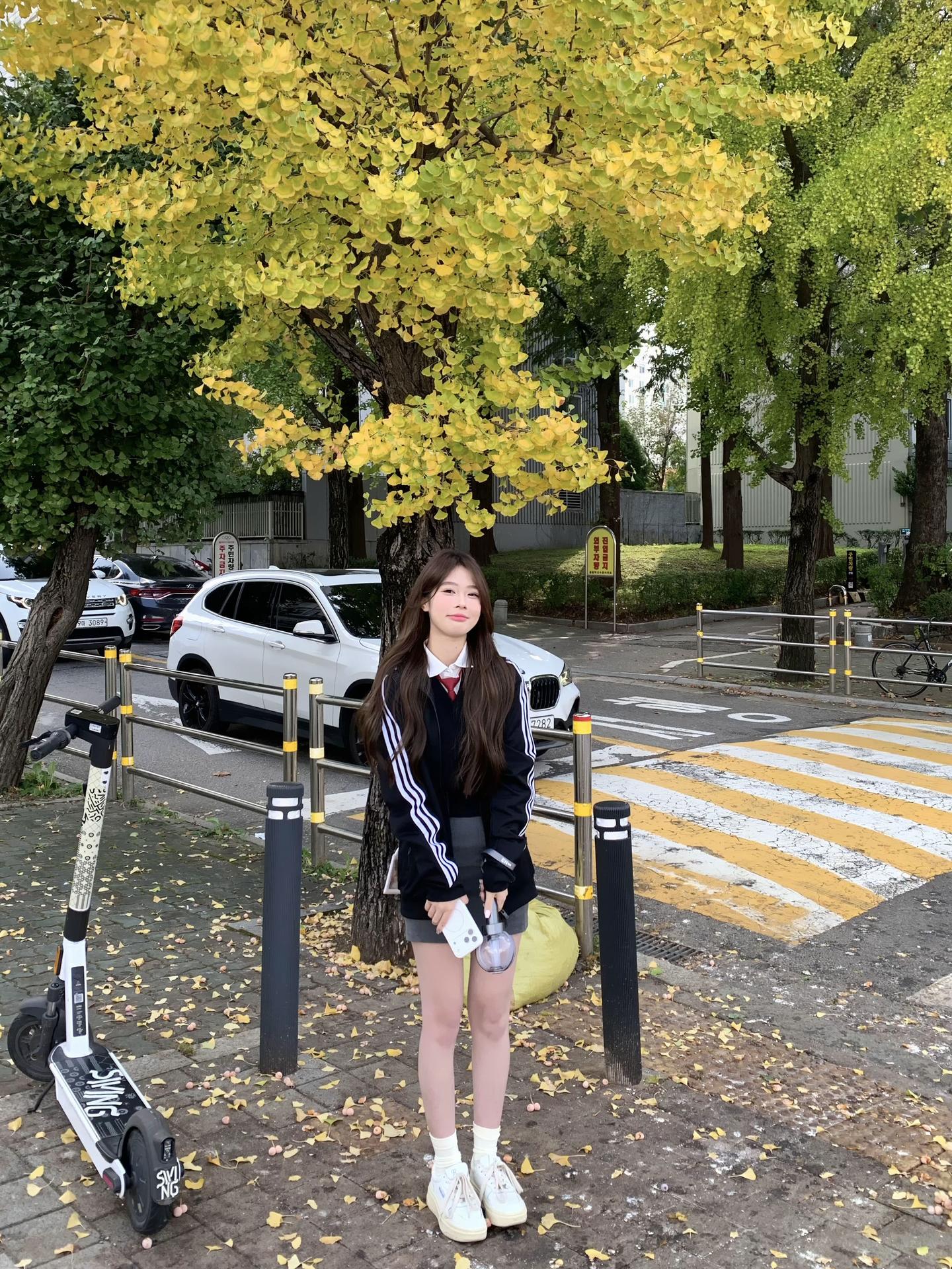 首尔病开始积累…