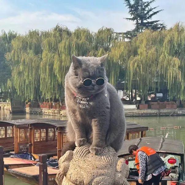 其实啊，回家过年从来都不是花钱多少的比拼，而是藏在心里的惦记，更是扛在肩上的责任