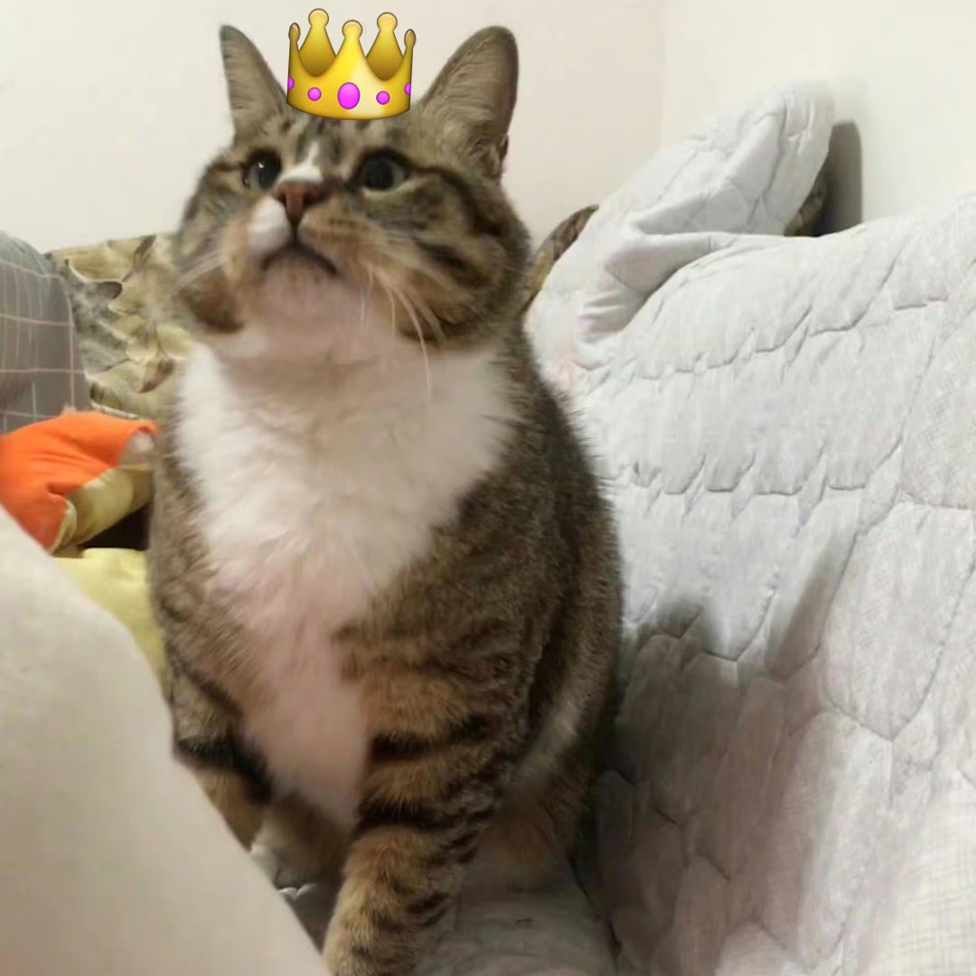 老板：$*#&^…这个事情上，我们要支持大局。我：大橘， 我不支持大橘 ，我支持