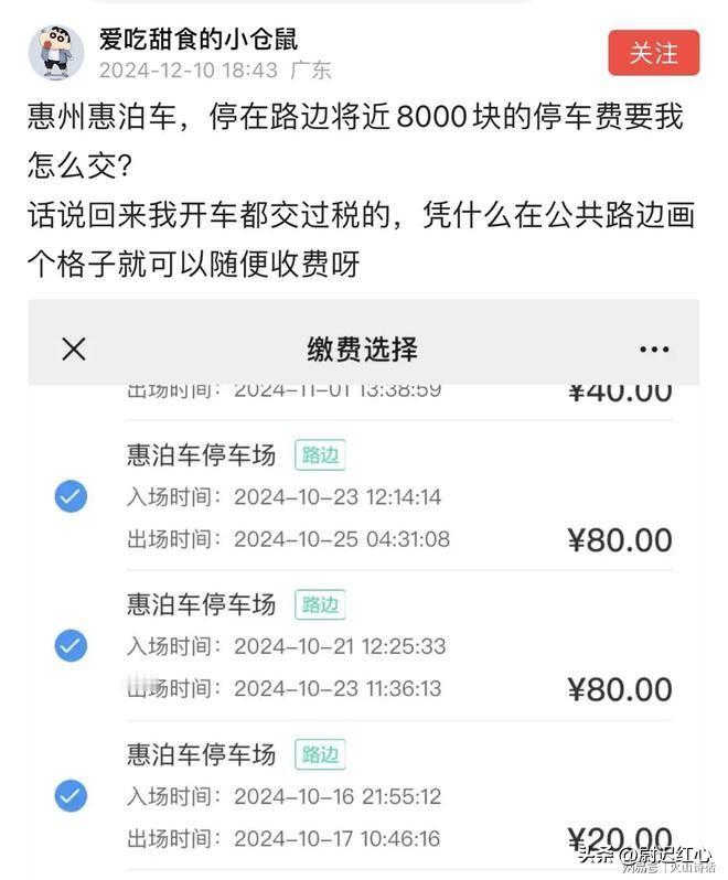 活久见！惠州惠泊车，停在路边将近8000块的停车费，怎么交？最近，有个广东的网友