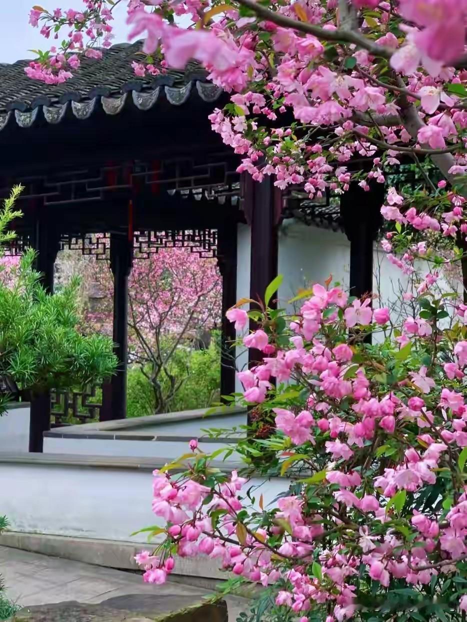 活得明白

人生要活得通透，其实就藏在如何过好一天、一年、一生里。

过好每一天