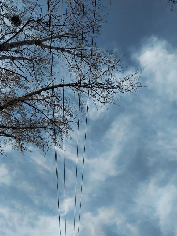 你问我答 “你问我答”这个形式还挺实用的。就拿都江堰景区来说，有人问近期持学生证