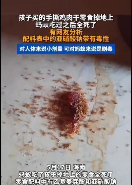 "这些商家是在害人！"海南的一位家长怎么也没想到，正是一个原本平静的休息日，几粒
