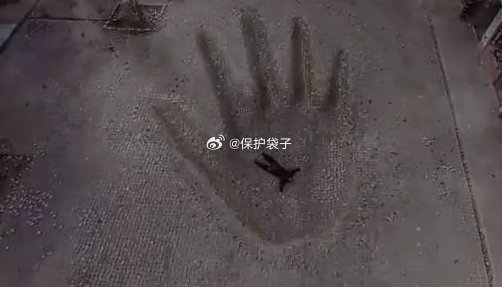 日籍高管就引发蒙古国大火道歉事情刚出来时候就看着了。你以为的蒙古：载歌载舞友好热