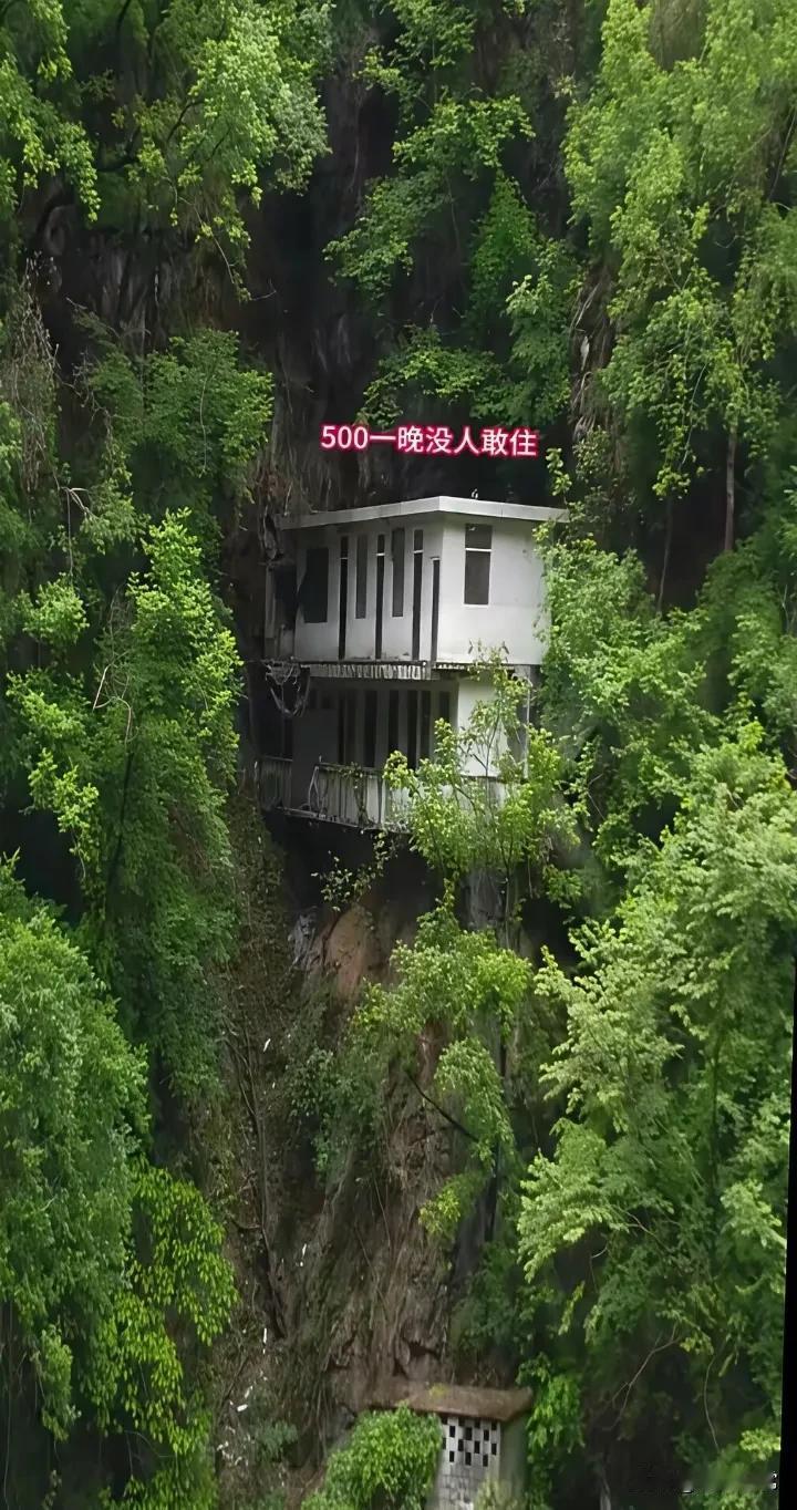 请问这房子如何？这样的房子，如果给你500住一晚，你敢不敢去住？这房子，四周围都