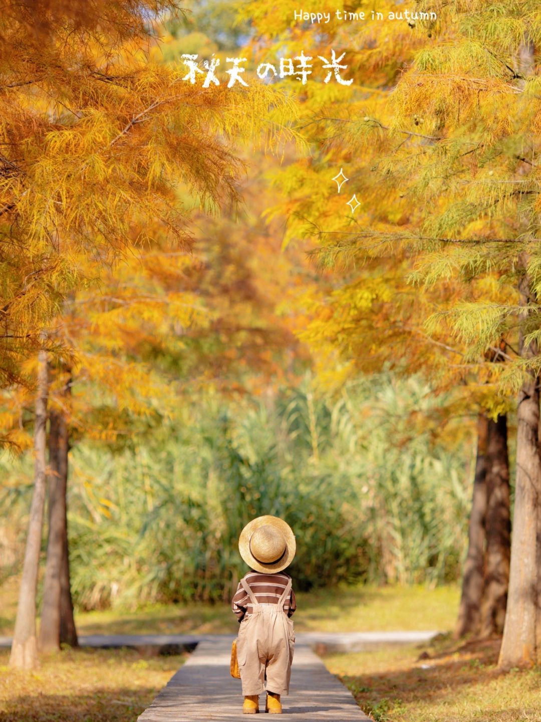 广州的秋天 美得超乎你想象🌸 🍂