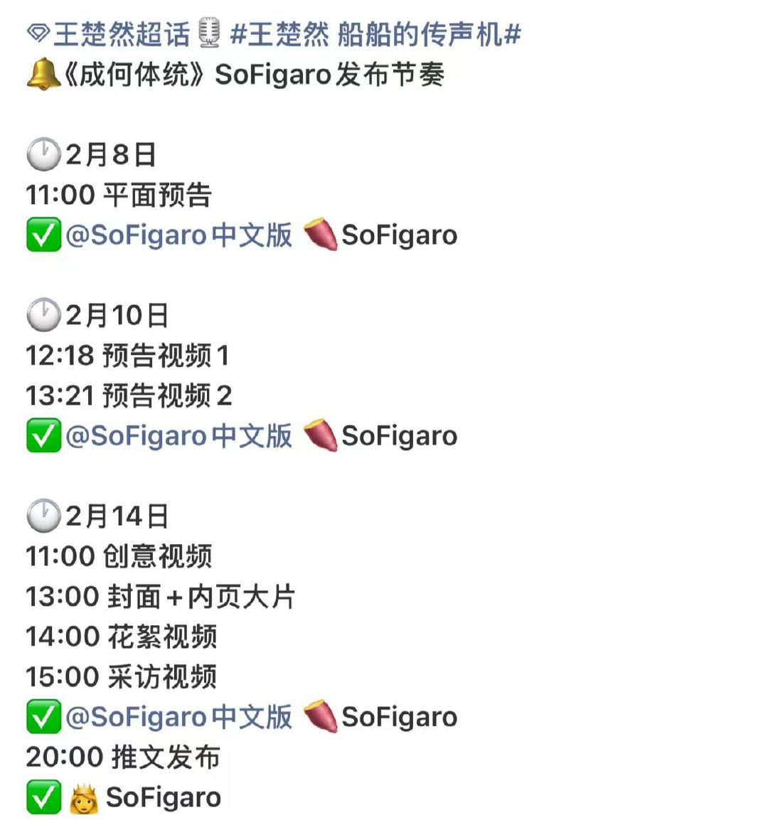 王楚然丞磊Sofigaro杂志王楚然丞磊Sofigaro封面 王楚然丞磊Sofi