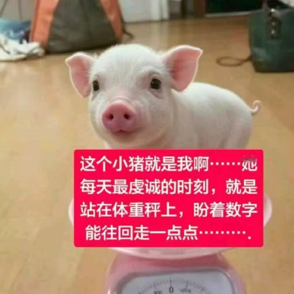 这两个月的心一直在变幻莫测 
