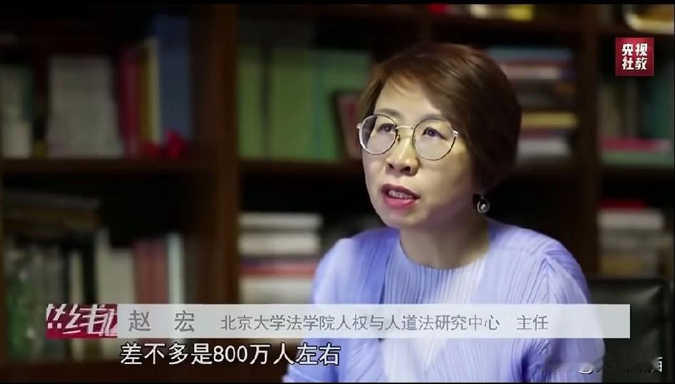有人提出，瑞典方面20年来一直坚持对我们高校的法学建设提供资金支持，成果如何，都