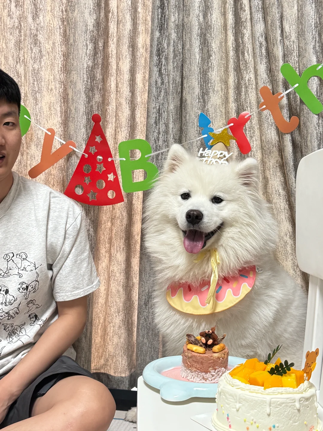 狗狗我呀，今天生日啦🎂