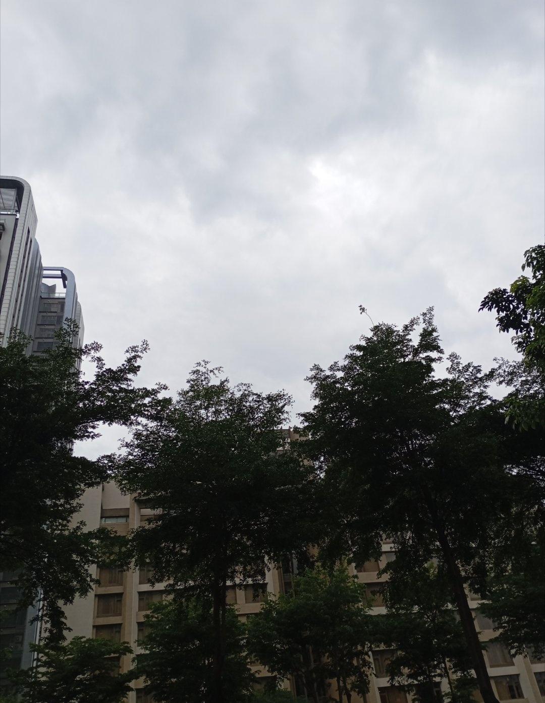 昨天大太阳，今天阴天 又湿又凉的 ​​​