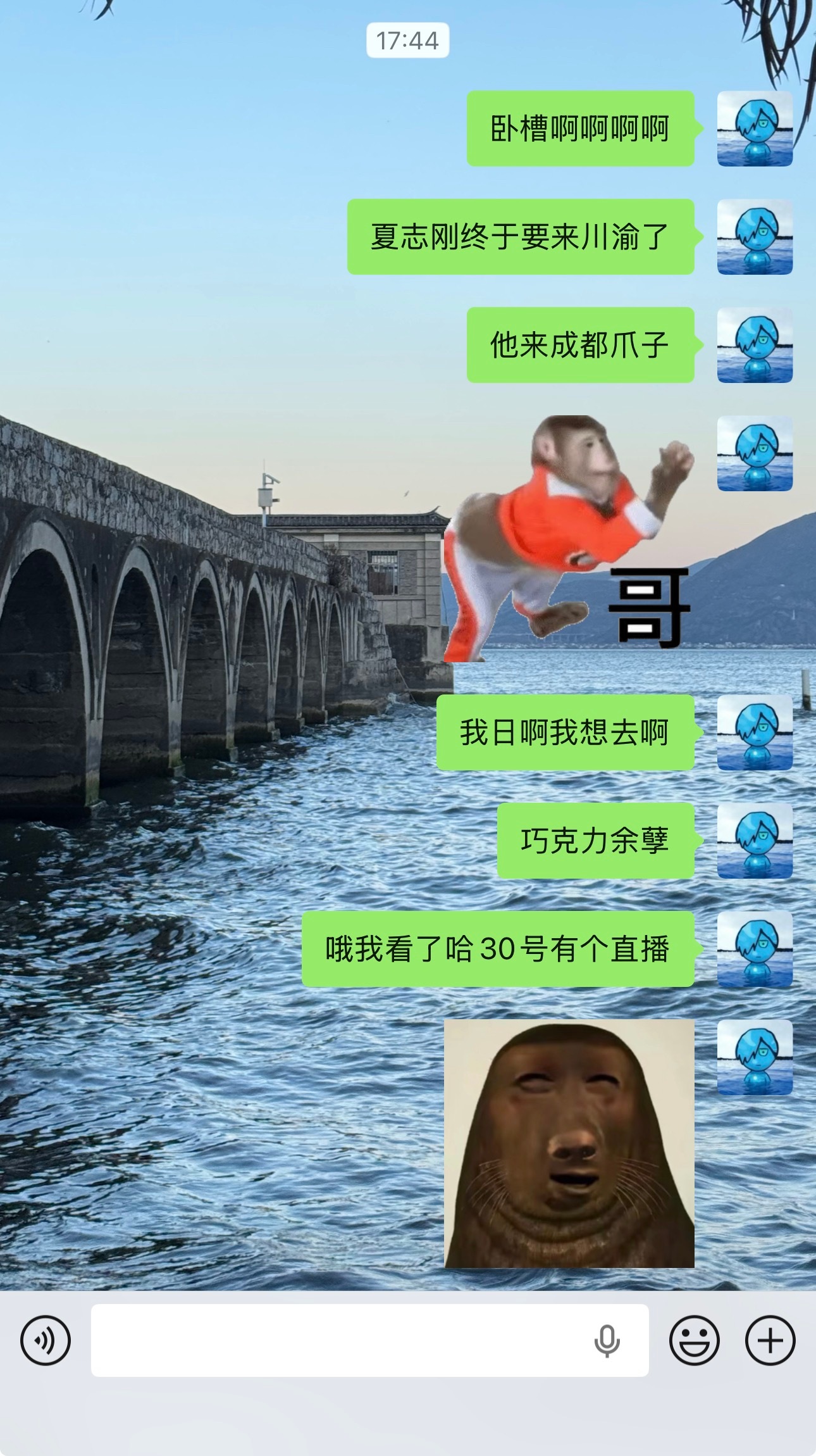 不是我真想去看一眼夏之光