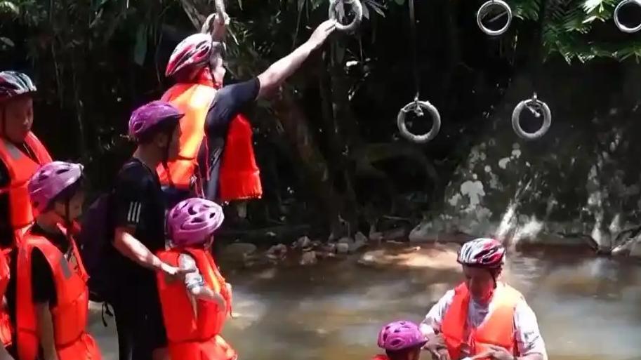 近日，铁路部门在海南、湖南、山东以及长三角地区推出了新版旅游计次票产品，旨在为旅