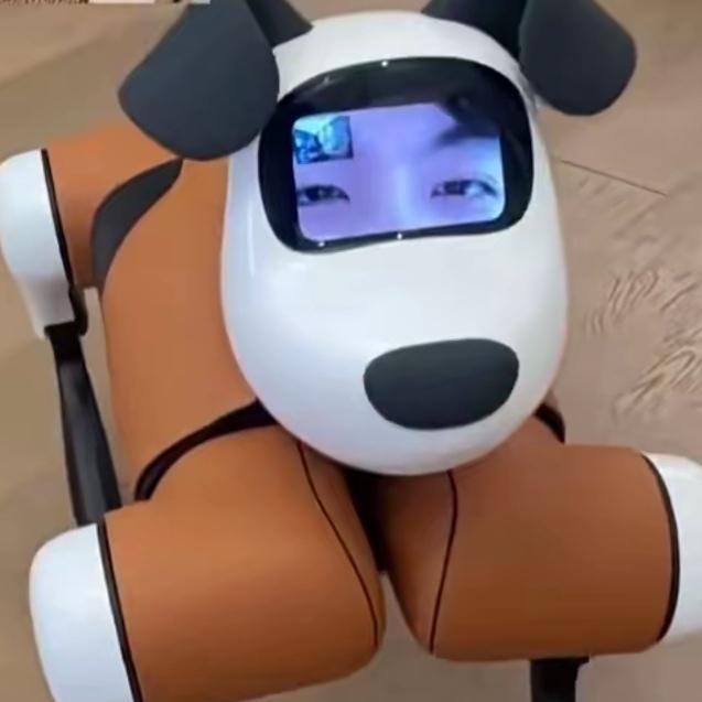 女生在家补觉，睁眼竟看到一只“机器狗”蹲在床头盯着自己，这画面你敢信？这不是科幻