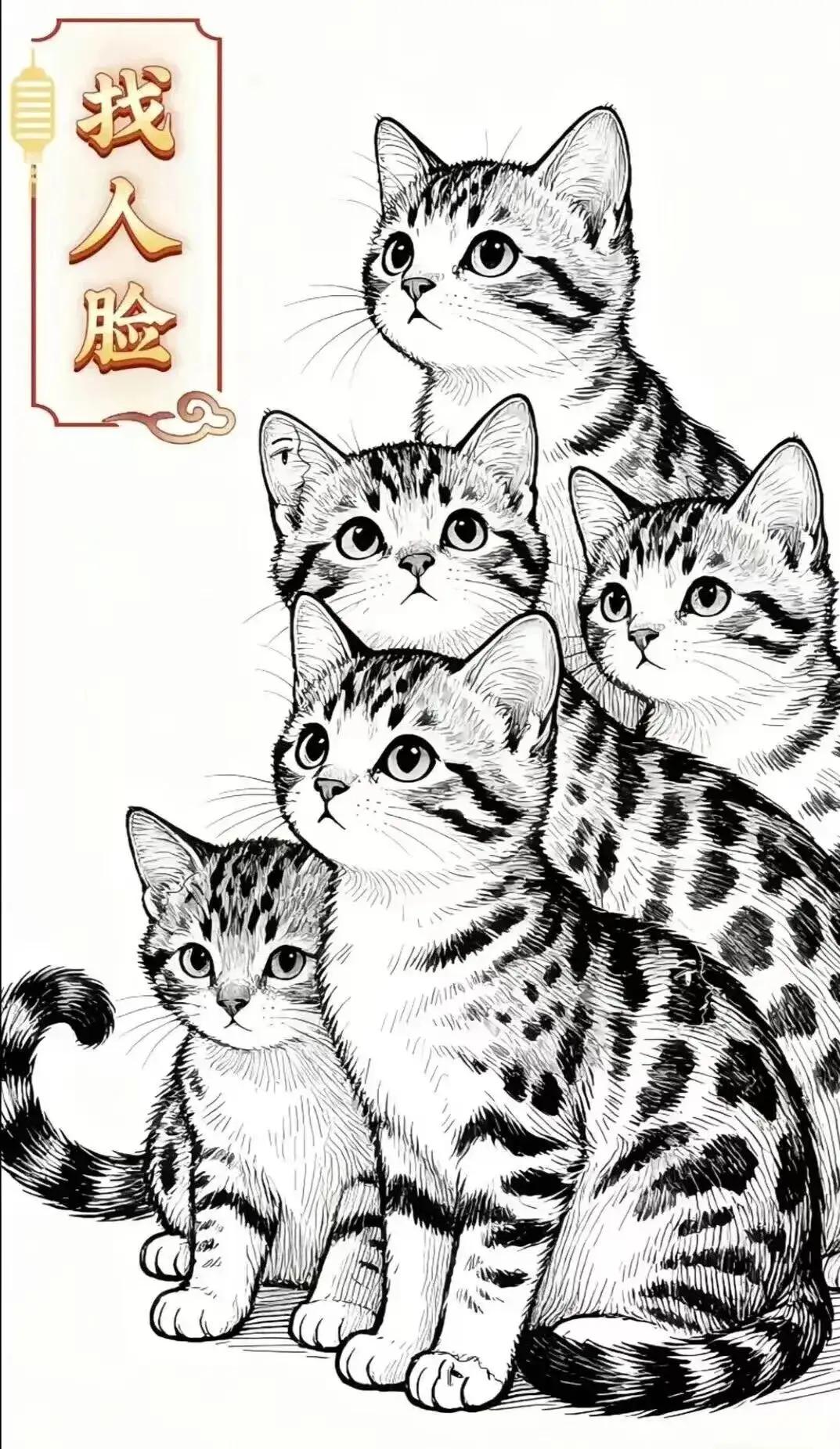 这可咋整，猫身上有人脸2张，老鼠身上有人脸3张，猫身上我找到一张，在一只猫的耳朵