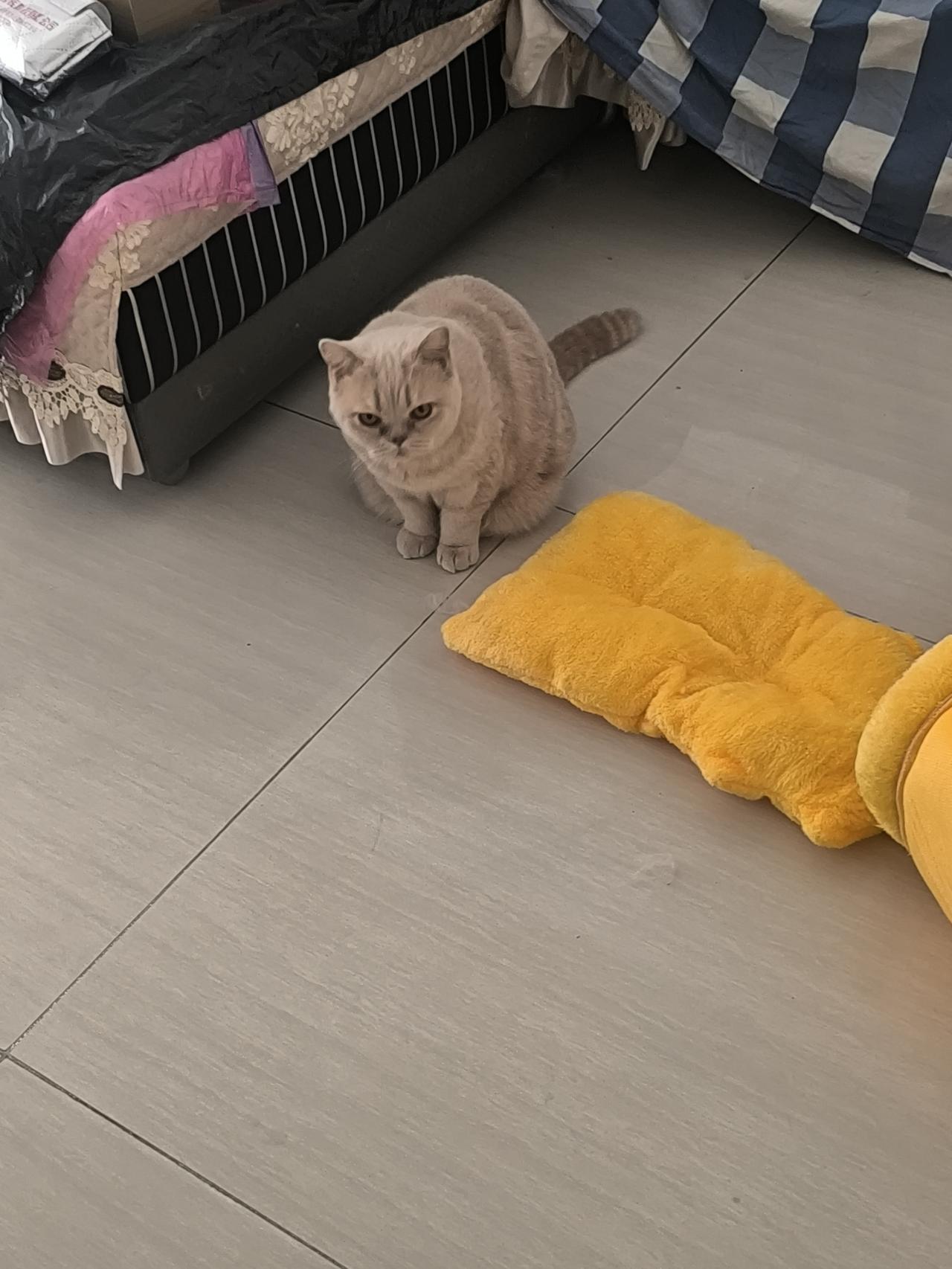 静谧沉思中……