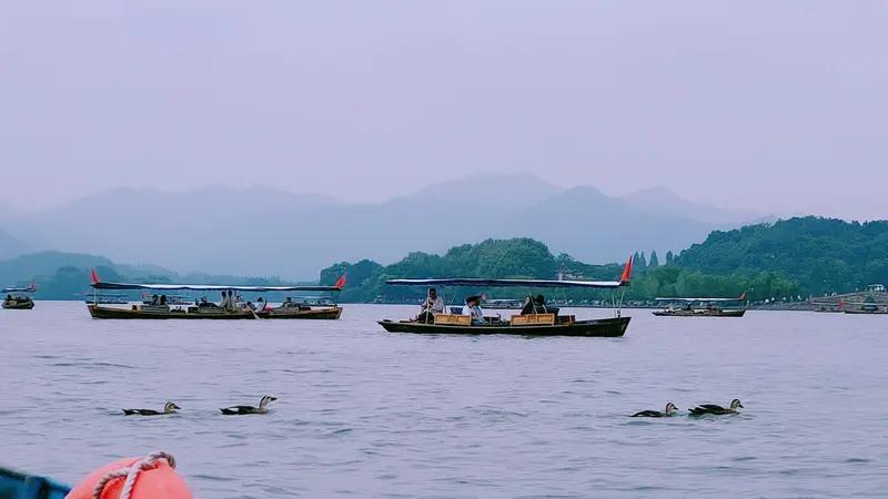 品读快乐的追景人的诗作“短棹分香过西东，莲歌惊起白鹭踪，满船清甜压弯蓬，一篙入水