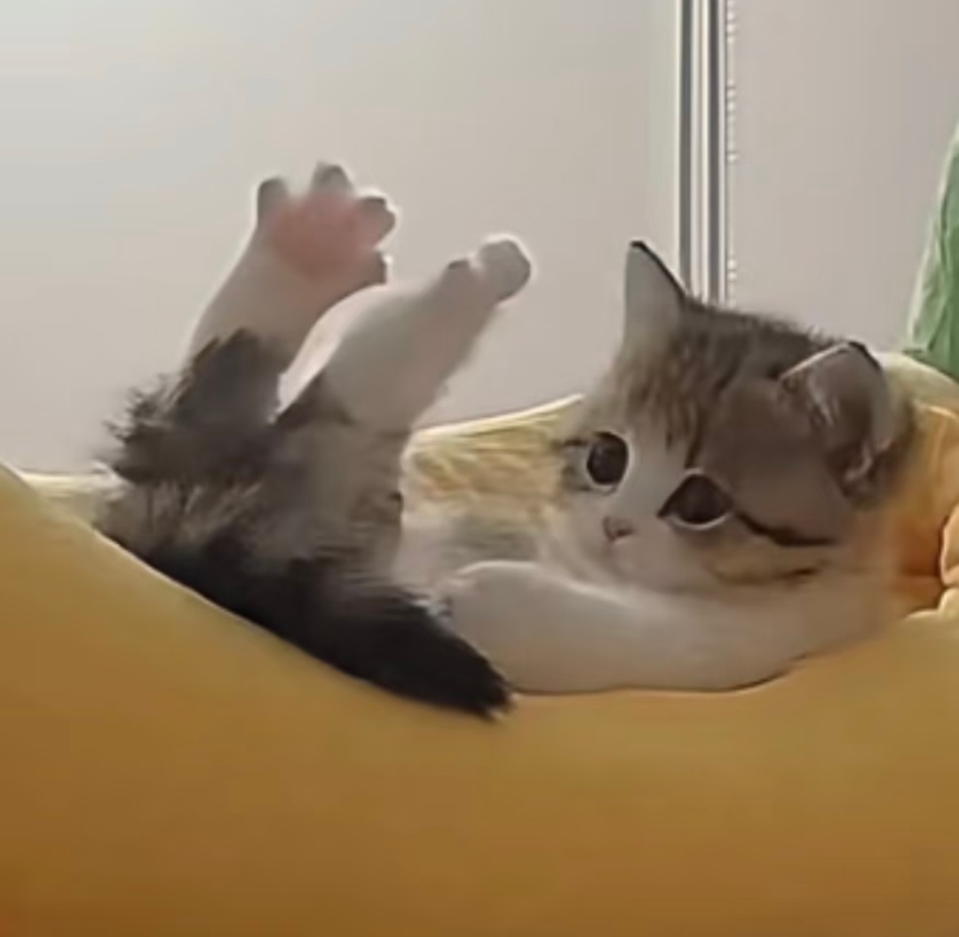 小咪小咪 ​​​