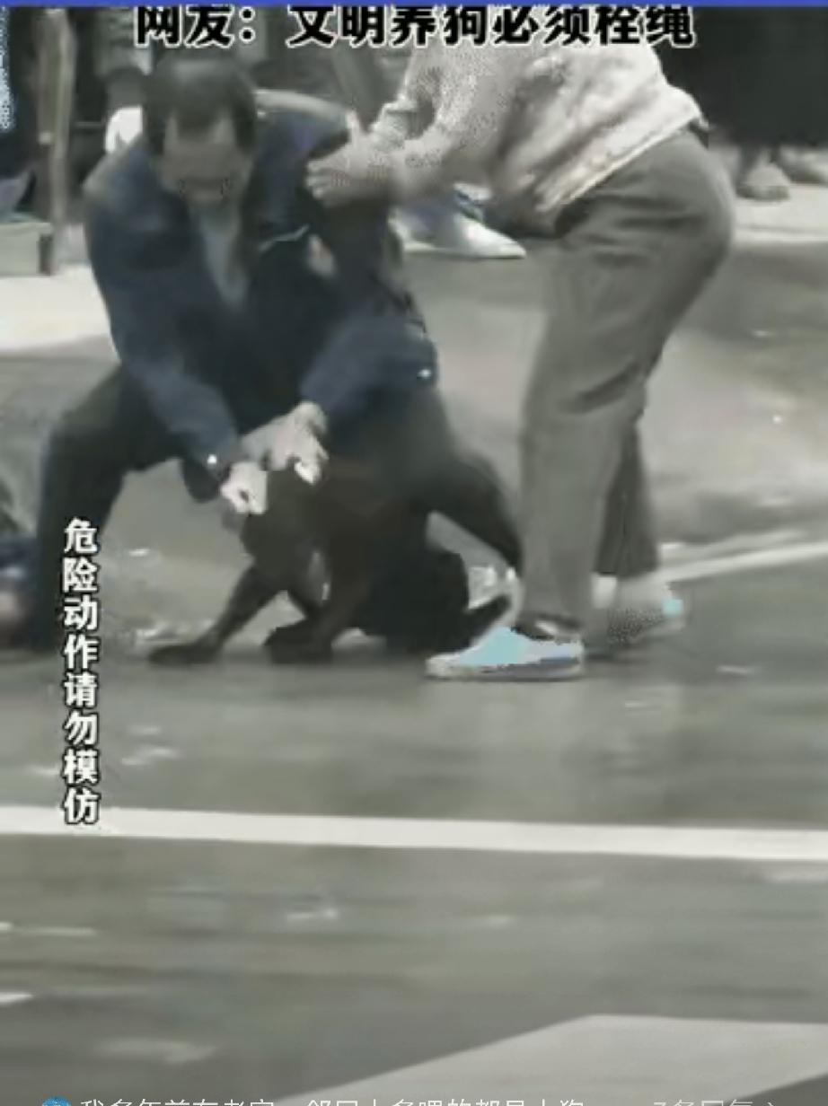 大哥要是生在古代，准是大内侍卫里拔尖的猛人。你看他走路上，大妈养的黑狗猛地扑过来