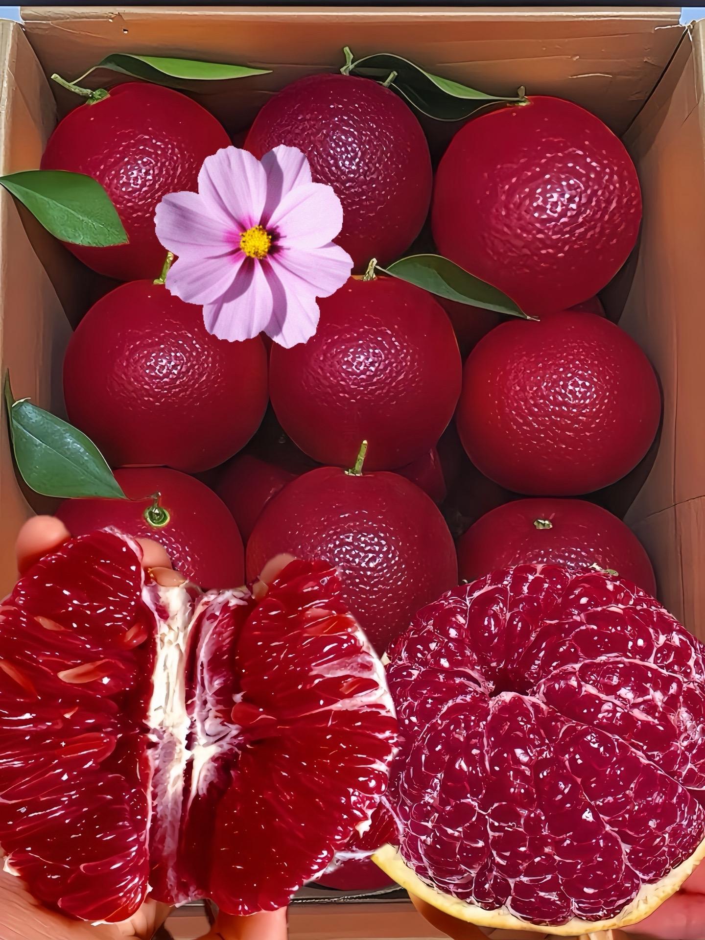 新鲜应季水果 血橙 口感非常好 超便宜超划算 水果