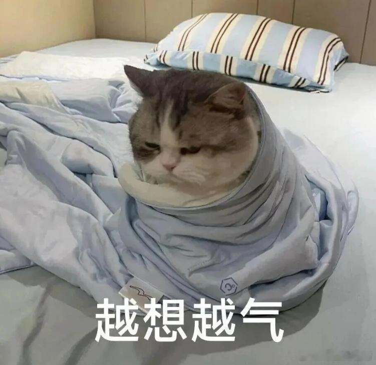 错一，与大满贯擦肩而过，我不明白米亚尔比是怎么让3追4天狼星的，真的进球纯靠攒概