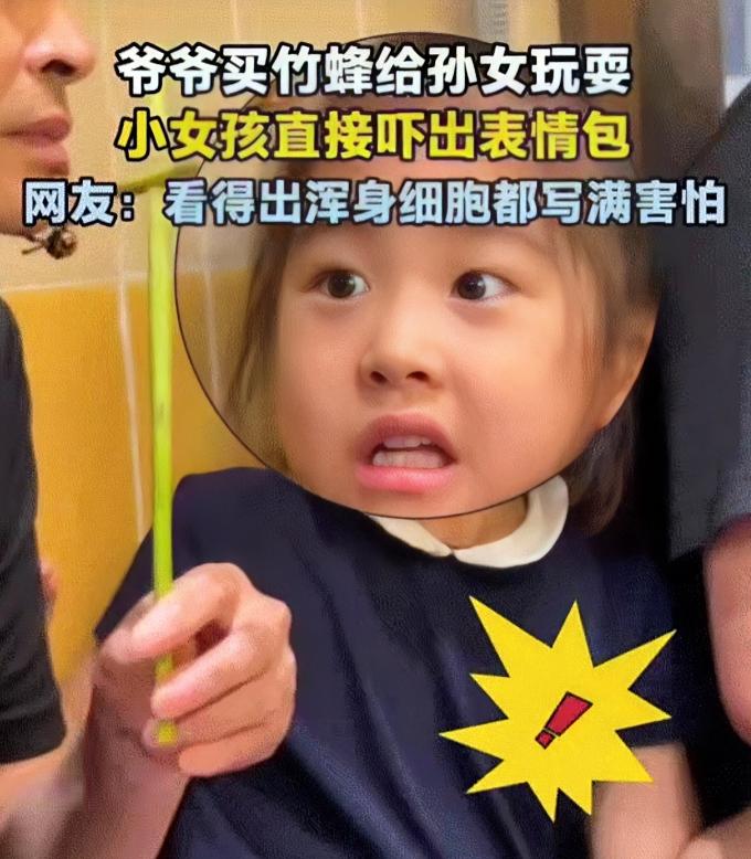 真是笑死个人！四川，一爷爷看孙女无聊，特意抓了只象鼻虫做成风车逗她。本以为小宝贝