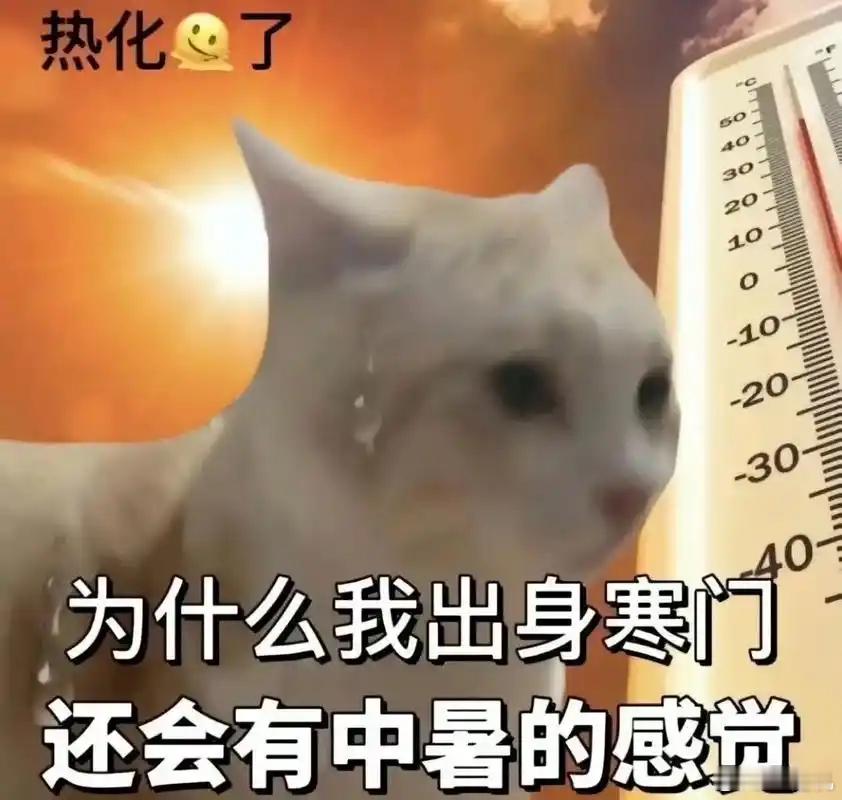 家人们，最近这天气可太折磨人啦！好多地方都一直热得不行，高温持续不断，中暑的人那