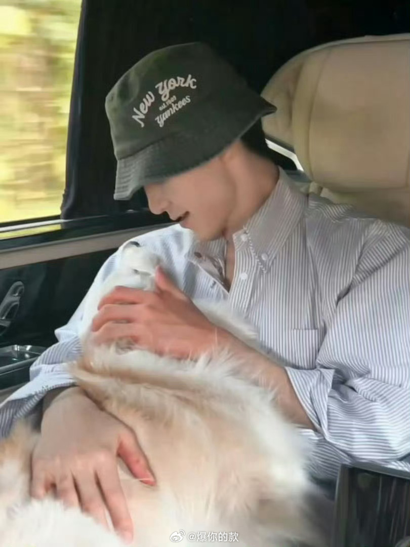 陈哲远的大米饭被狗狗吃了 夺饭之仇，不共戴天！陈哲远：那可是我的命根子（大米饭）