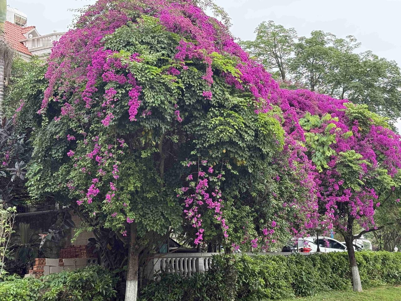 我的今日状态：😁轻松愉快
我这里的天气：🌤️多云