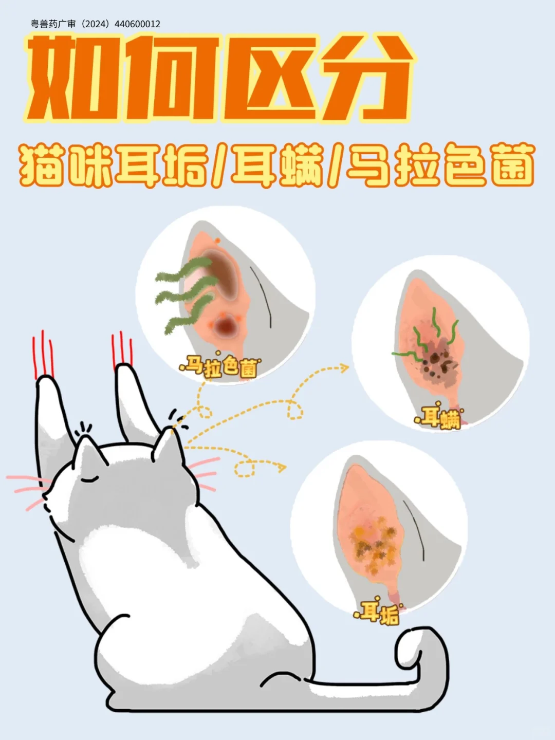 猫咪耳螨怎么办⚠竟然一个传染俩⁉