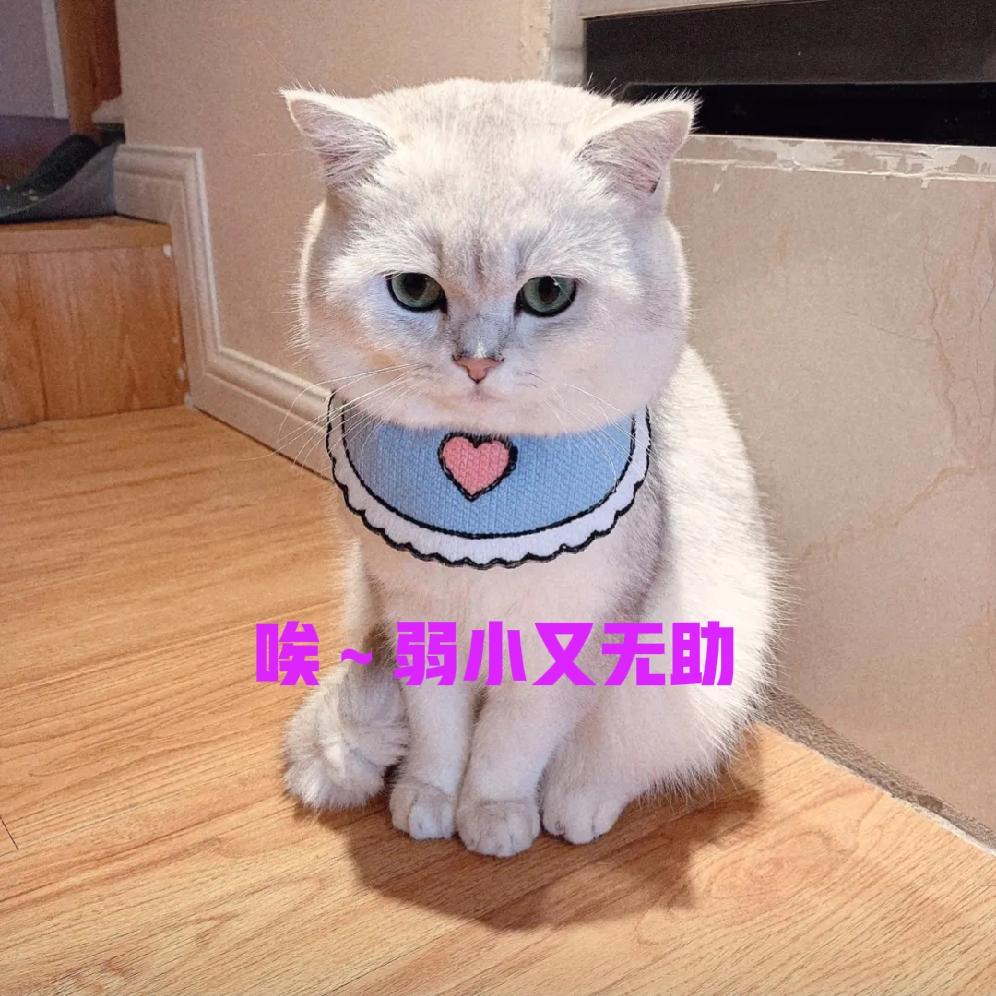 一位网友吐槽自己和年纪26岁已工作的侄女一起去厦门旅游的糟心事，
一周花了近80