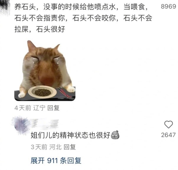 #办公桌上养什么宠物# 大家上班的精神状态都很美丽啊...... ​​​