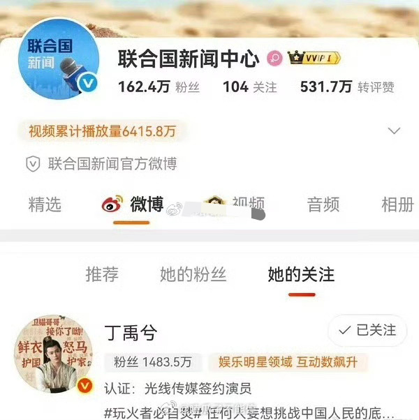 联合国新闻中心关注了丁禹兮