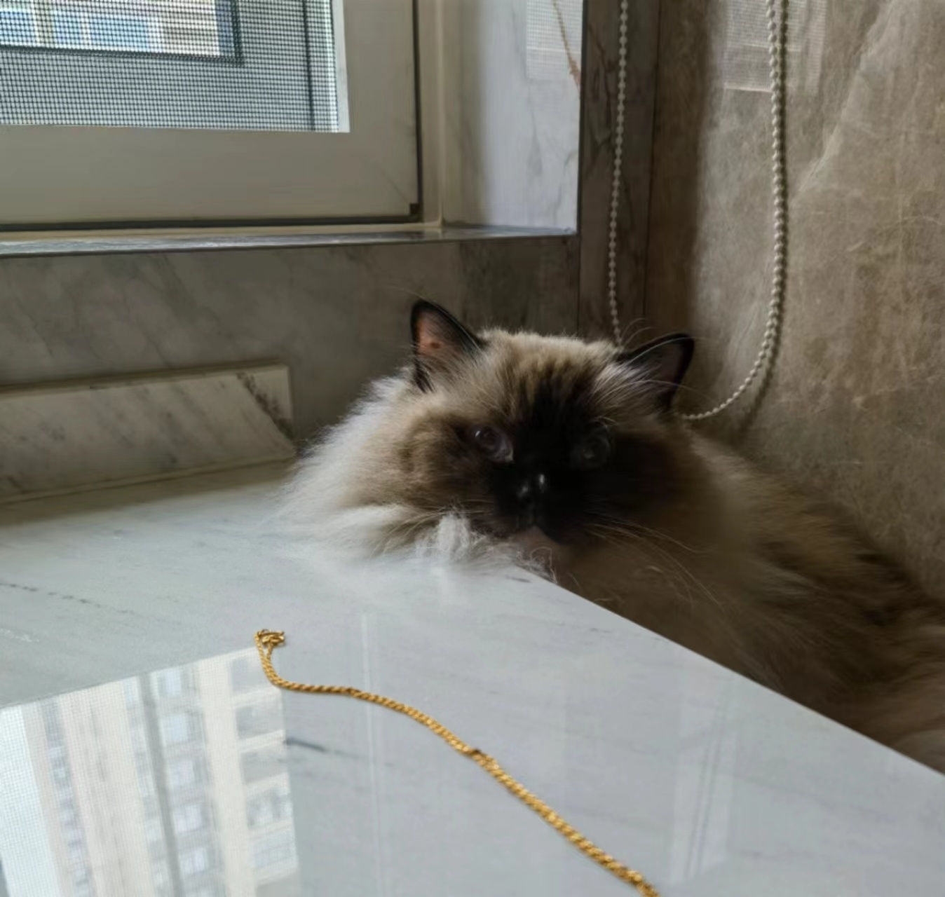 今天是手套日，🐑少女不淑女（家长） ​​​