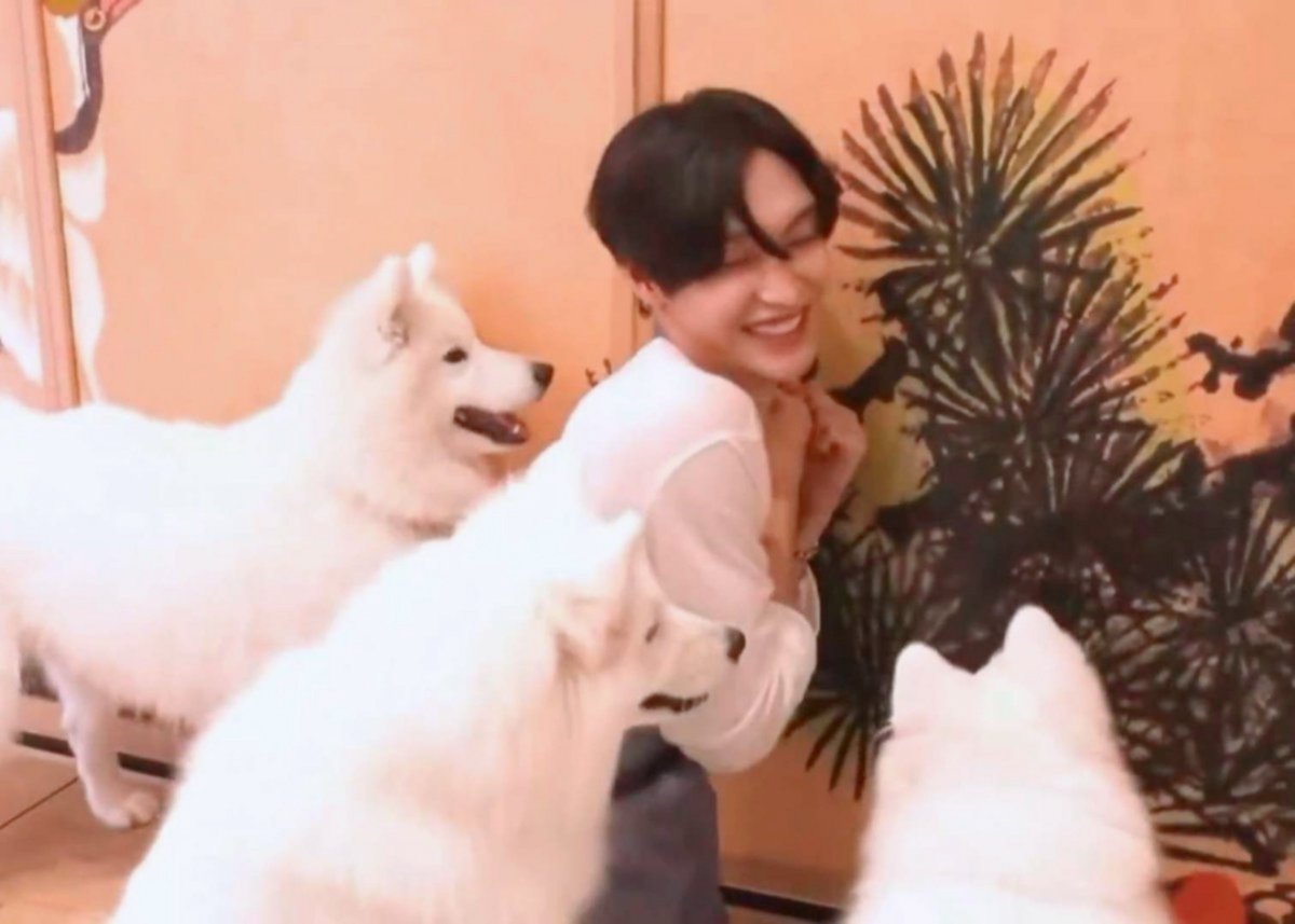 小动物们就是要一起玩呀🐾朴元彬